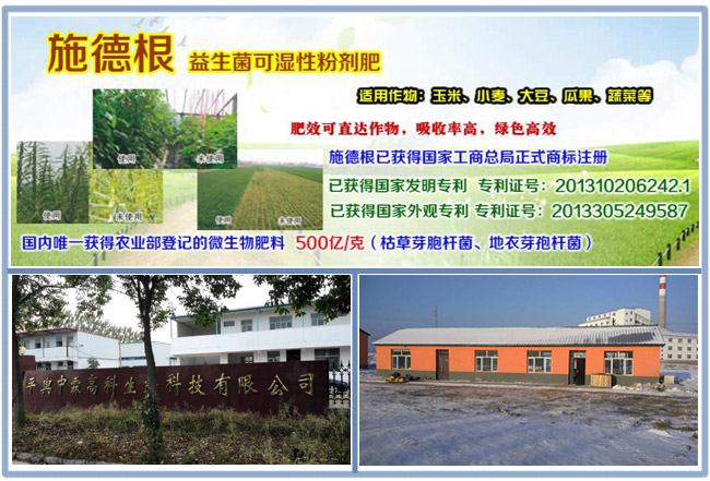 �~��ʹ��b�C�͑�S��